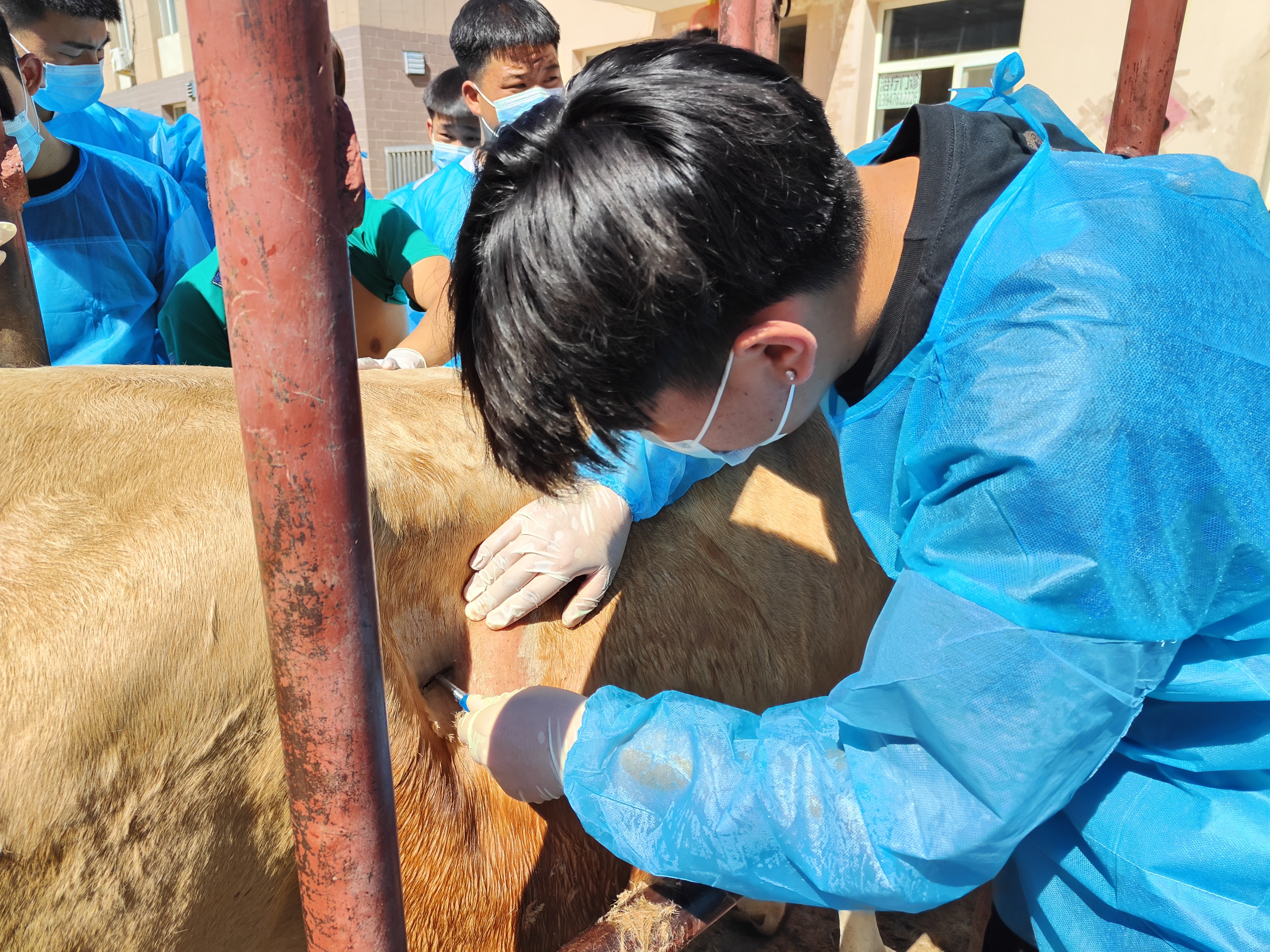 图5 学生在举行备皮.jpg